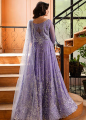 Roheenaz Naira Chiffon-D06