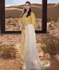 Rang Rasiya Premium Collection-HOORAIN