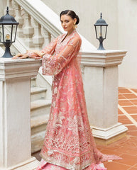 Mushq Inception Wedding-D06