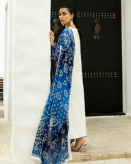 Zainab Chottani Luxury Chikankari-D8A