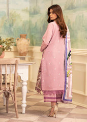 Roheenaz Meraki Winter-RNZ-07A