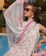 Noor Luxe Chikankaari-D07A