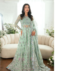 Mushq Shaam Shandar Chiffon-D07