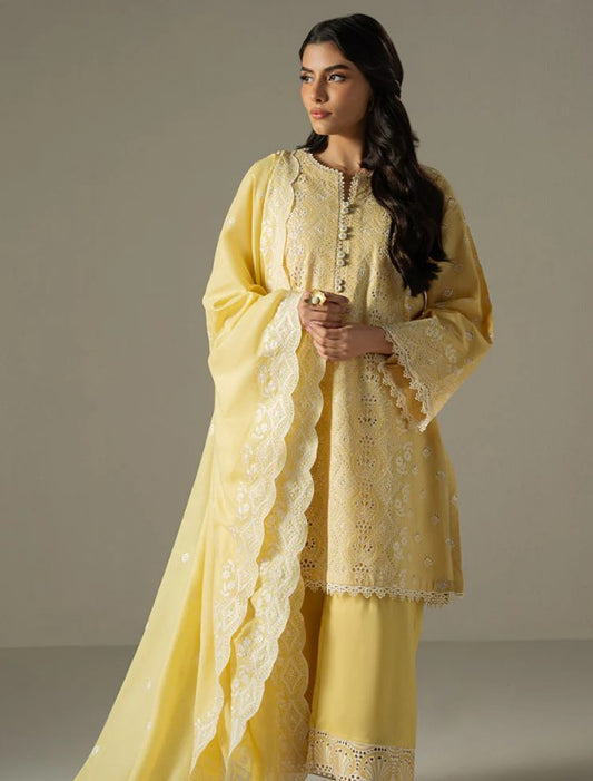 Cross Stitch Emb Chikankari-D07