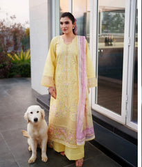 Neeshay Symphony Luxury Lawn-ELIO