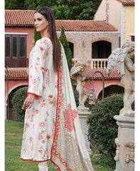 Al Zohaib Colors Linen Edit-D07