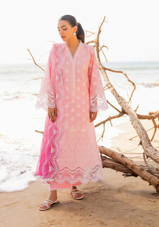 ZC Chikankari Luxury -AMYRA-8B