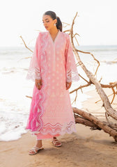 ZC Chikankari Luxury -AMYRA-8B