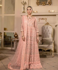 Sidra Aleem Rajkumari Festive-Rosabella