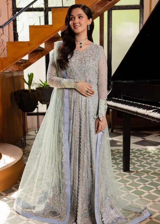 Roheenaz Naira Chiffon-D08