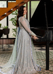 Roheenaz Naira Chiffon-D08