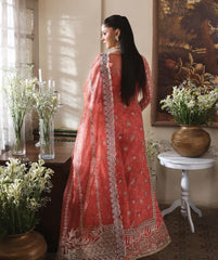 Afrozeh Dastangoi Festive-D08