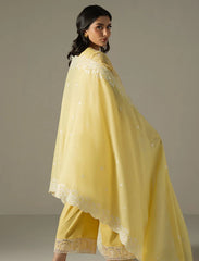 Cross Stitch Emb Chikankari-D07