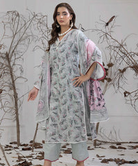 Salina Ready To Wear 03Pcs Cotton-D09