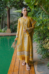 Qline Linen - Munaf Textile