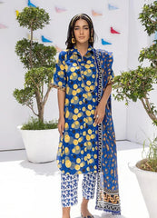 Coco Popup Lawn- D09