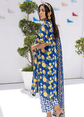 Coco Popup Lawn- D09