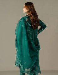 Cross Stitch Emb Chikankari-D09