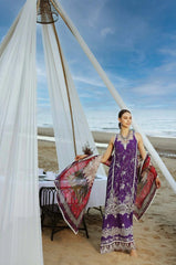 Noor Luxury Chikankari