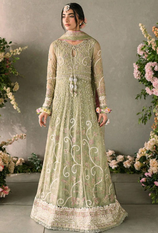 Mushq Mastani Evening Chiffon-D10