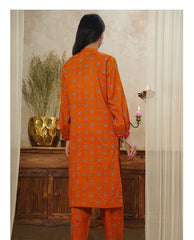 Aizal Ready To Wear Coords-D116