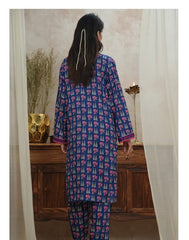 Aizal Ready To Wear Coords-D117