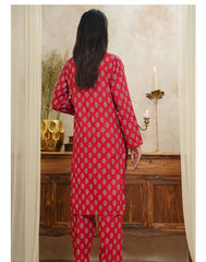 Aizal Ready To Wear Coords-D118