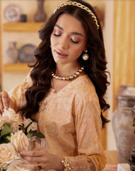 SunShine Printkari Lawn-D11