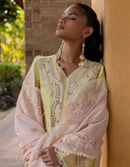 Qalamkar QLine Lawn-QM-11