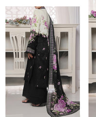 Vs Daman Mid Summer-D11