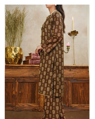 Aizal Ready To Wear Coords-D120