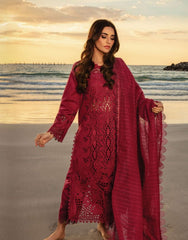 Rang Rasiya Premium Summer-D13