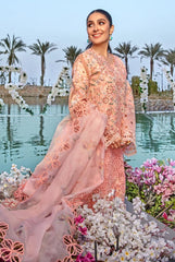 Premium Eid Collection-D13