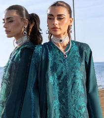 Rang Rasiya Premium Collection-AYLEEN