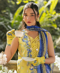 Asifa&Nabeel Gulkari Lawn-D15