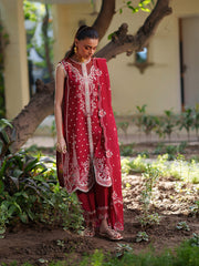 Bin Ilyas Heritage Dore Lawn-176-A
