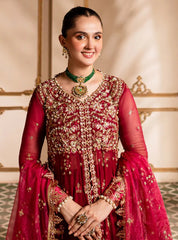 Roheenaz Naira Chiffon-D01