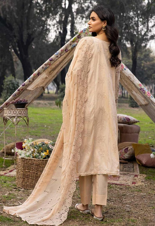 Noor e Chasham Lawn-D-10