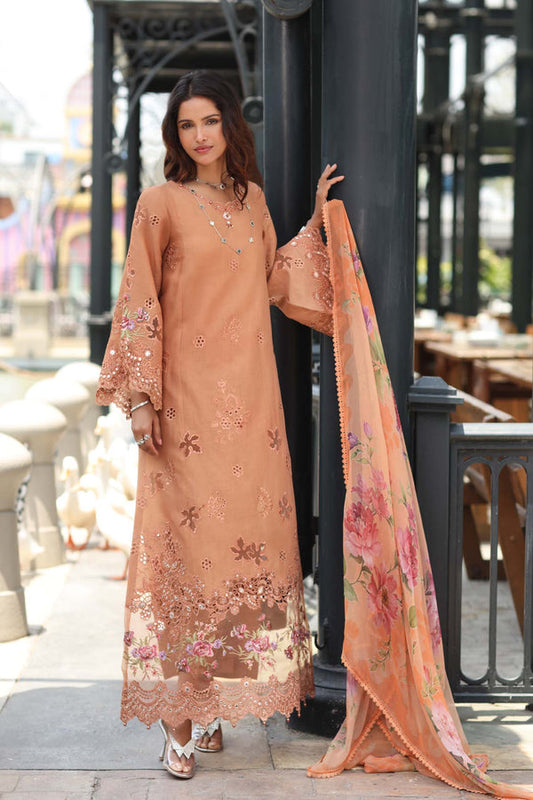 Noor Luxe Chikankari-D06