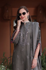 Noor Emb Winter Pashmina Shawl-D13