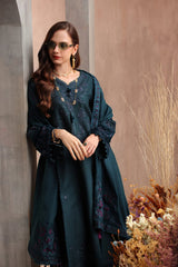 Noor Emb Winter Pashmina Shawl-D08