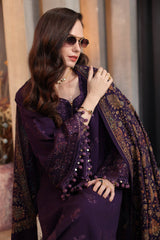 Noor Emb Winter Pashmina Shawl-D01