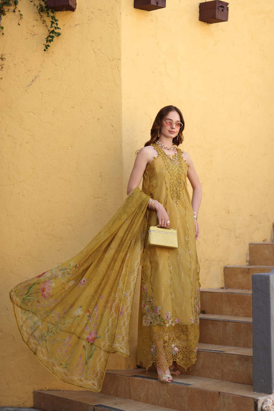 Noor Luxe Chikankari-D2 B