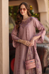 Noor Luxe Chikankari-D4 B