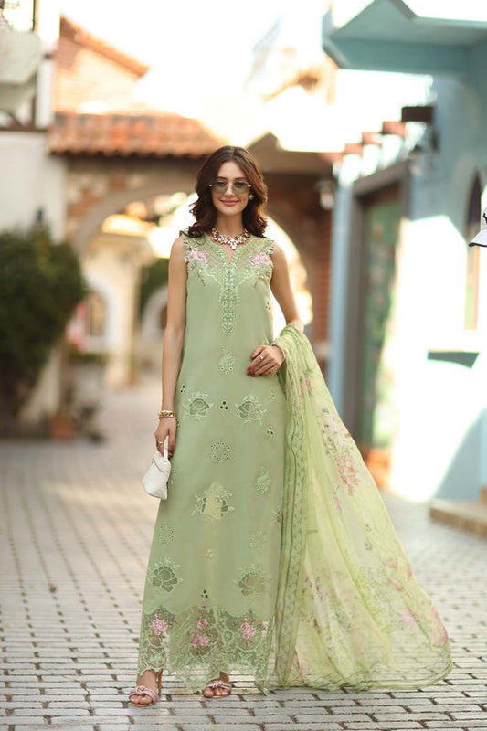 Noor Luxe Chikankari-D3 A