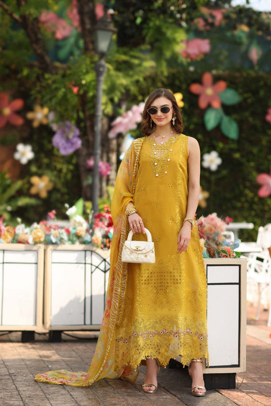 Noor Luxe Chikankari-D10