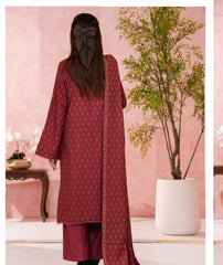 VS Pashmina Printed-D304-B