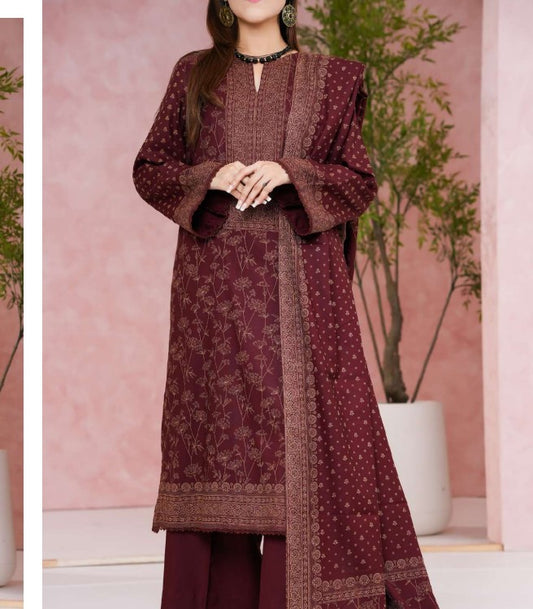 VS Pashmina Printed-D305-B