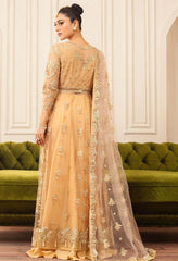 Mushq Aura Hemline Wedding-D03