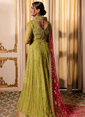 Roheenaz Naira Chiffon-D04